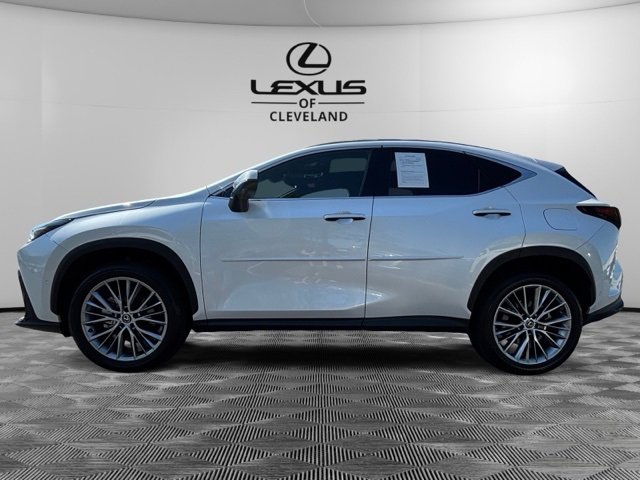 Used 2025 Lexus NX 350 AWD w/ Luxury Package image 4