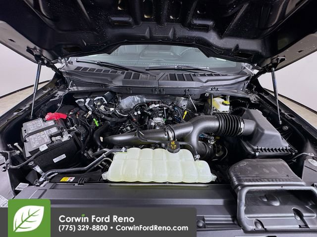 New 2026 Ford F150 STX w/ Equipment Group 200A image 29