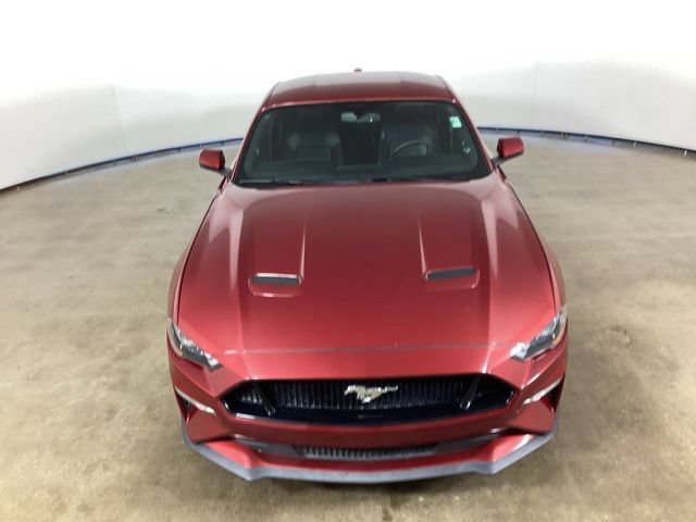 Used 2019 Ford Mustang GT Premium w/ Equipment Group 401A RWD image 4