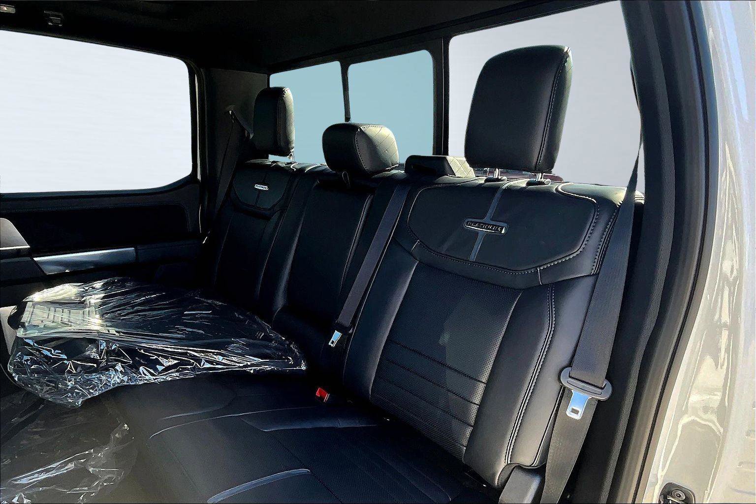 New 2025 Ford F150 Platinum image 18