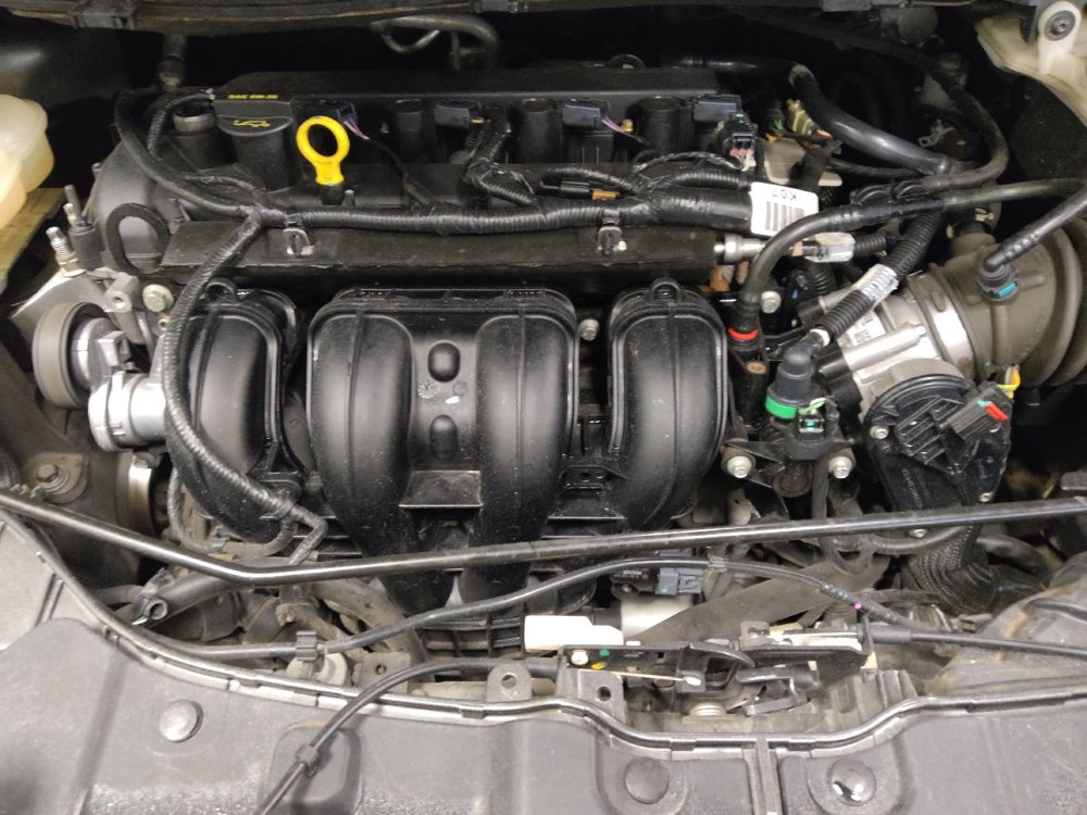 Used 2016 Ford Escape SE FWD image 30