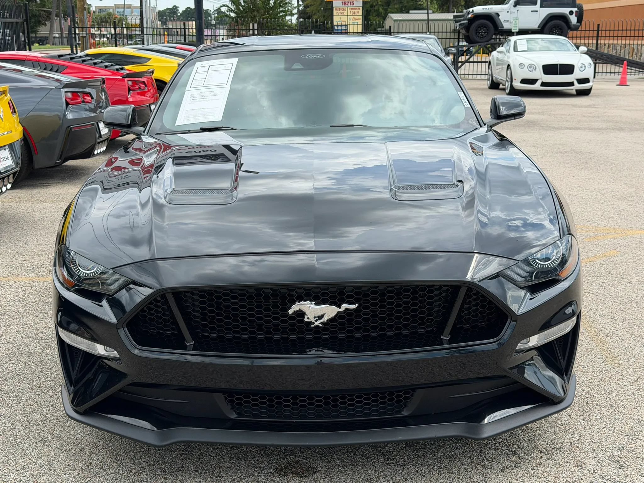 Used 2023 Ford Mustang GT w/ Equipment Group 301A RWD image 4