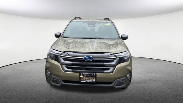 Used 2025 Subaru Forester Limited image 3