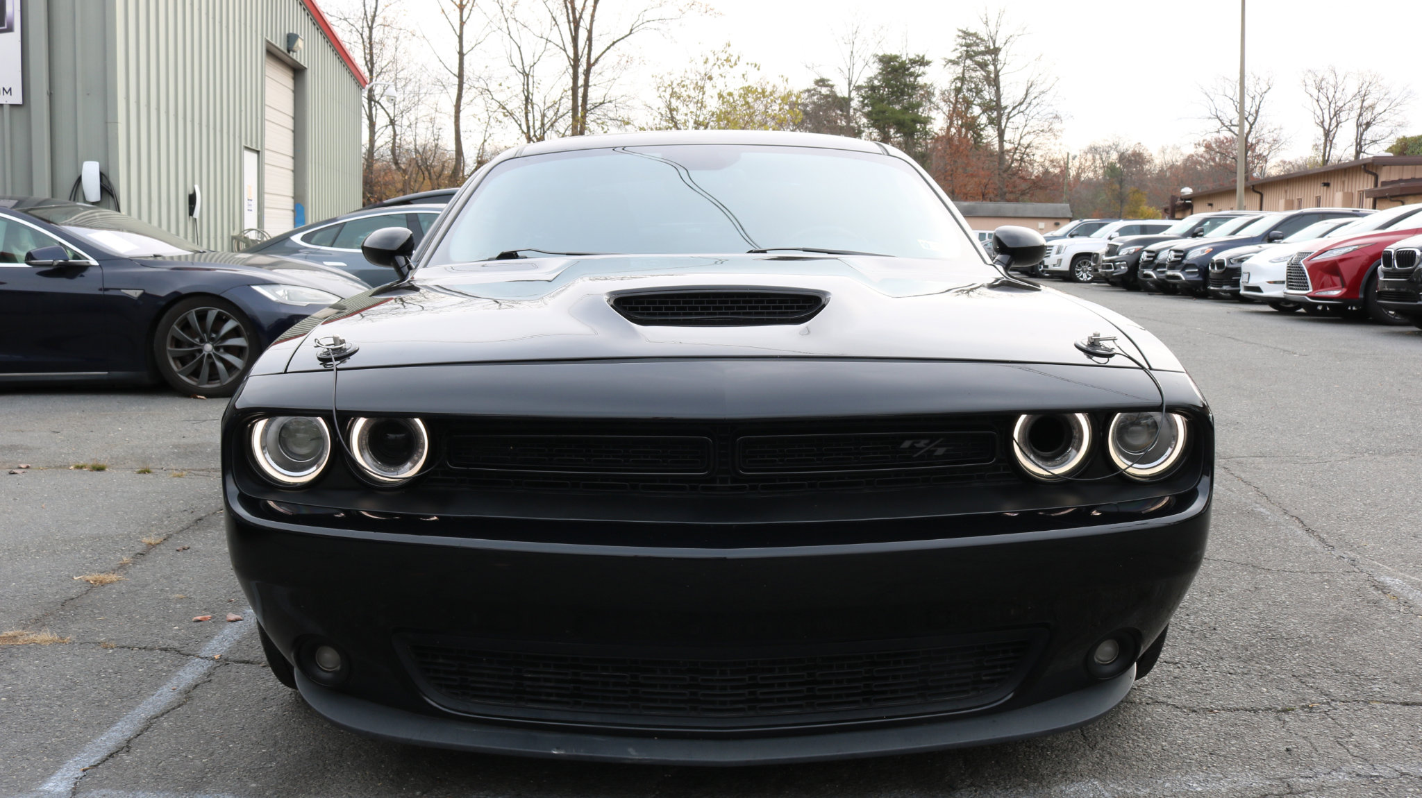 Used 2016 Dodge Challenger R/T w/ Blacktop Package image 2