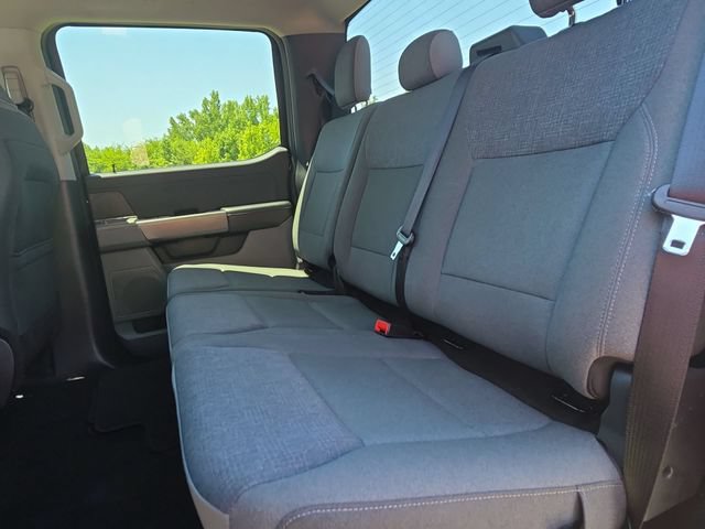 Used 2025 Ford F150 XLT w/ Equipment Group 301A Standard AWD/4WD image 14