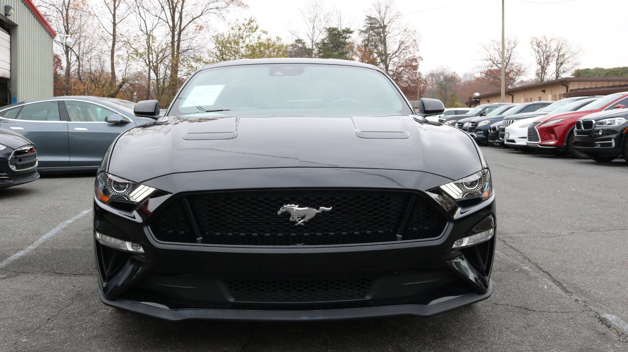 Used 2023 Ford Mustang GT Premium image 2