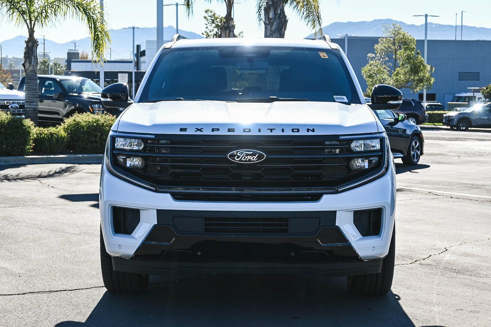 New 2025 Ford Expedition Max Platinum w/ Stealth Appearance Package video 2