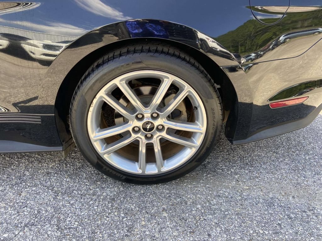 Used 2017 Ford Mustang Premium w/ Equipment Group 201A RWD image 9