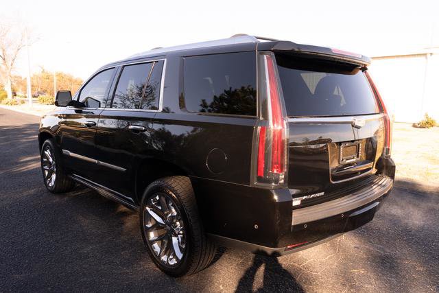 Used 2020 Cadillac Escalade Platinum image 5