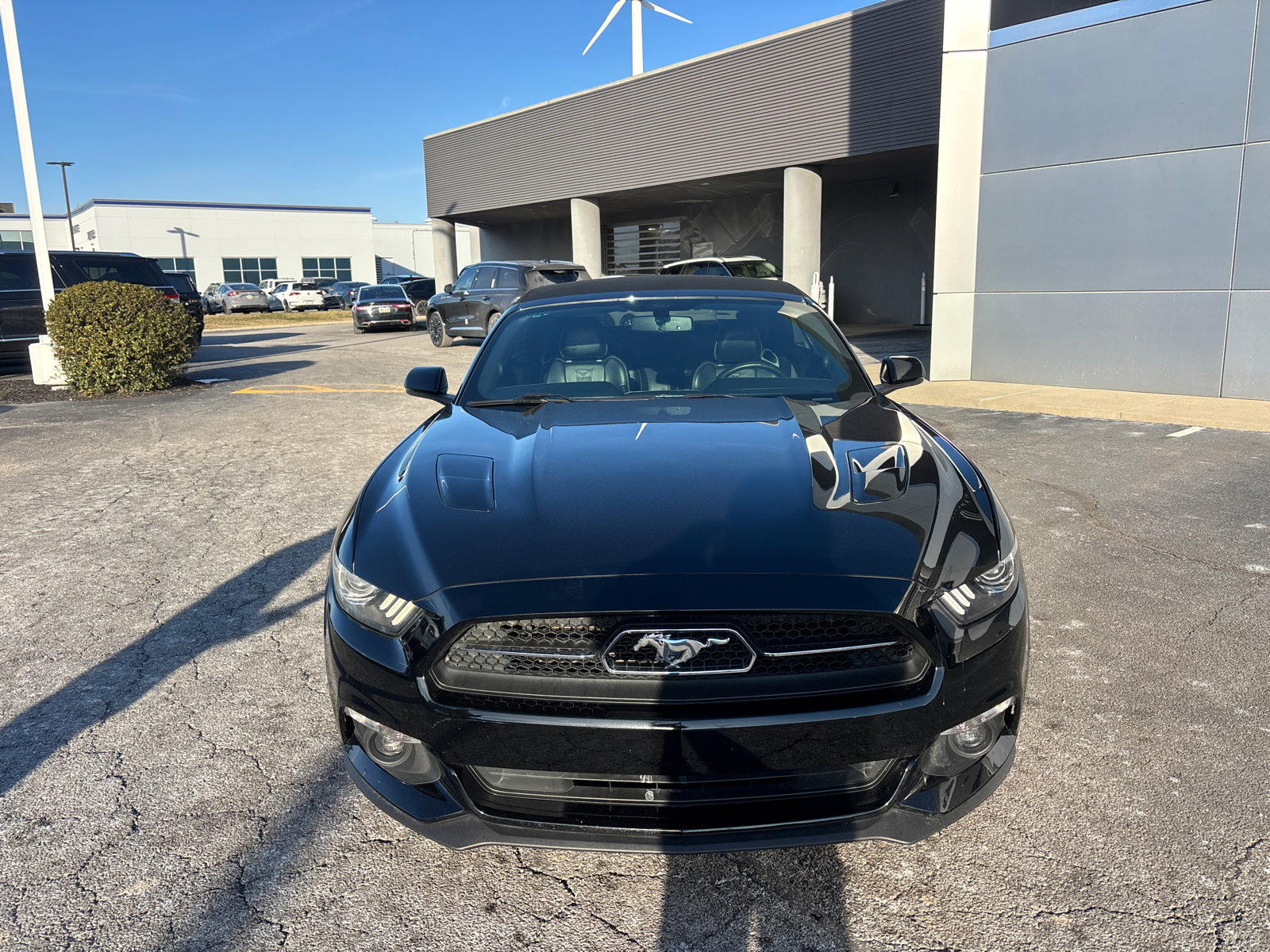Used 2015 Ford Mustang GT Premium w/ Equipment Group 401A image 2