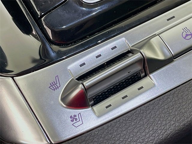 Used 2024 Kia Carnival SX Prestige image 22