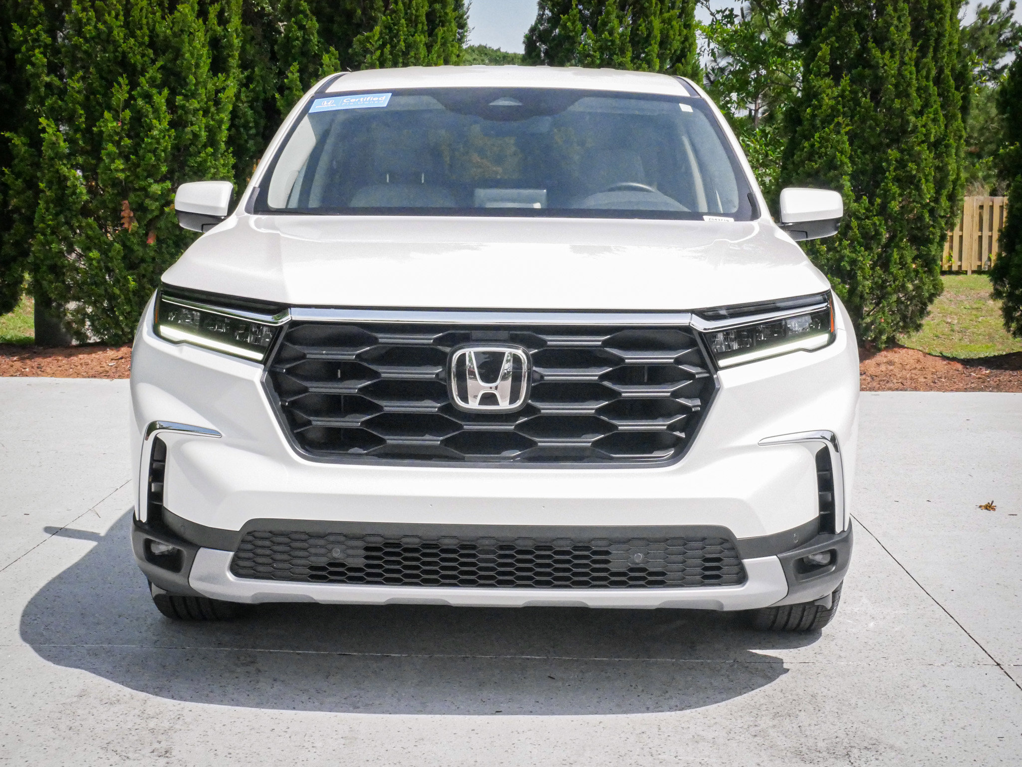 Used 2025 Honda Pilot EX-L image 3