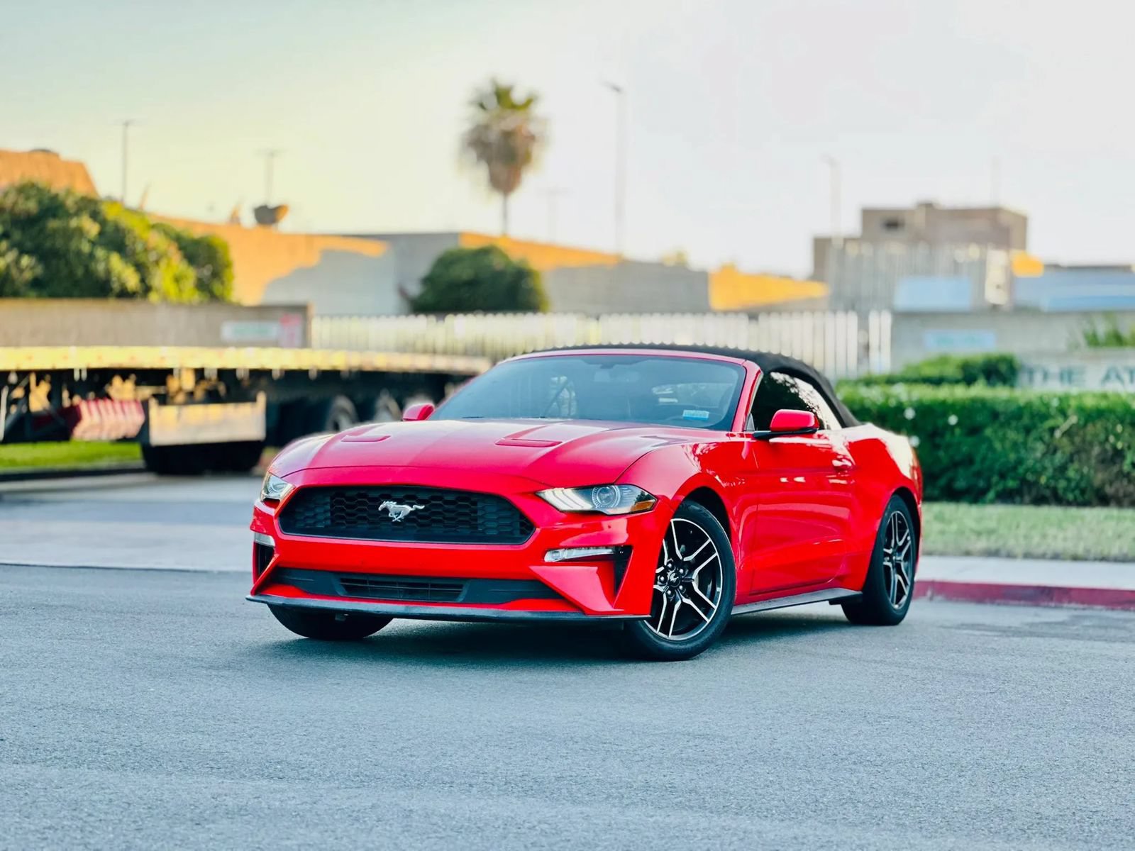 Used 2019 Ford Mustang Premium