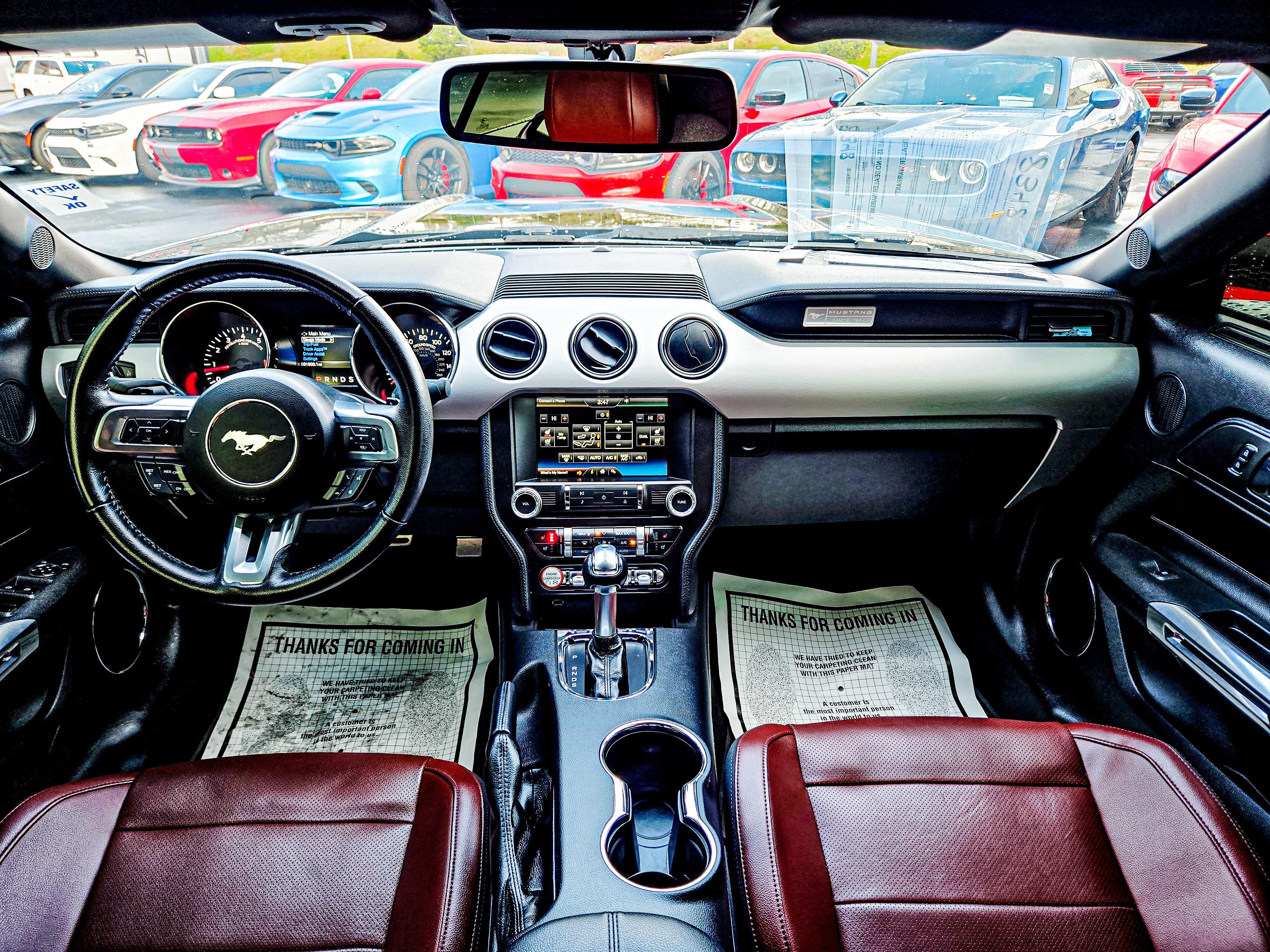 Used 2015 Ford Mustang GT Premium w/ Equipment Group 401A image 14