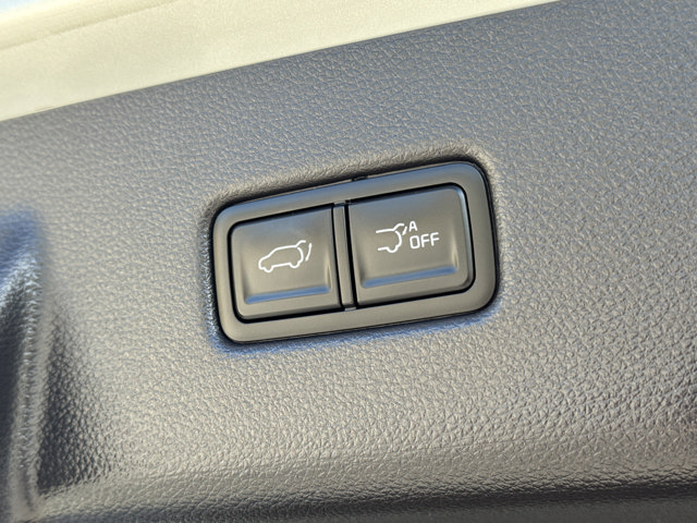 Used 2025 Kia Carnival SX FWD image 13