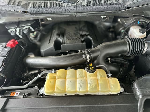 Certified 2020 Ford F150 Platinum w/ Equipment Group 701A Luxury image 29