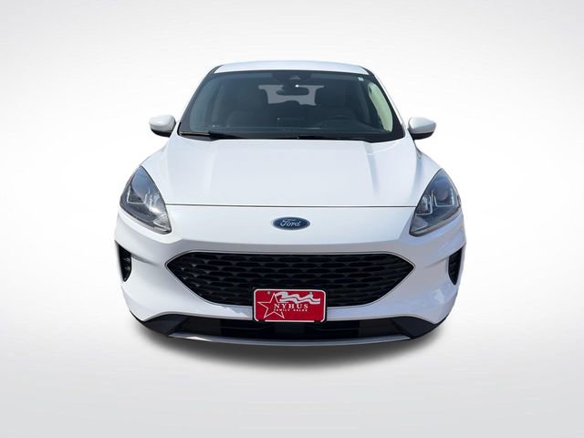 Used 2020 Ford Escape SE AWD/4WD image 2