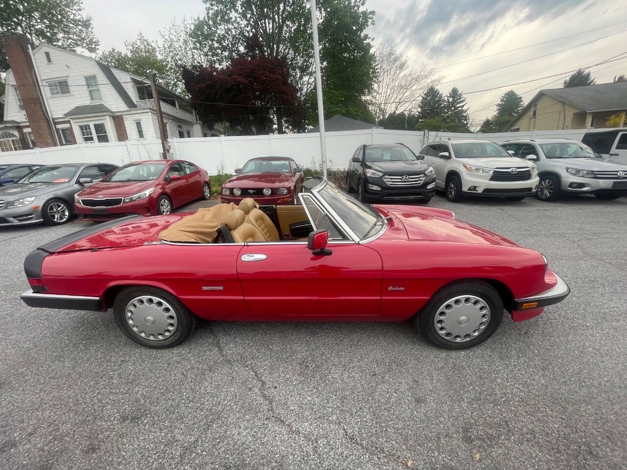 Used 1990 Alfa Romeo Spider Graduate RWD image 5