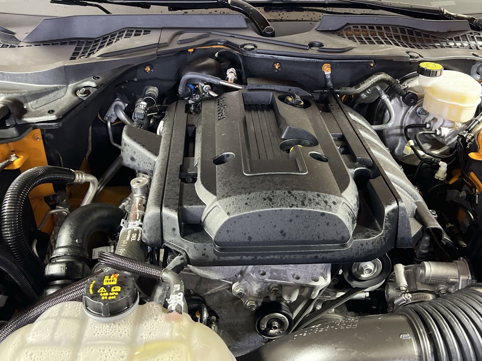 Used 2019 Ford Mustang Coupe w/ Equipment Group 101A image 29