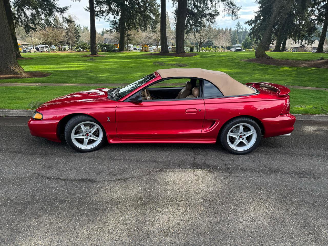 Used 1996 Ford Mustang Cobra RWD image 2