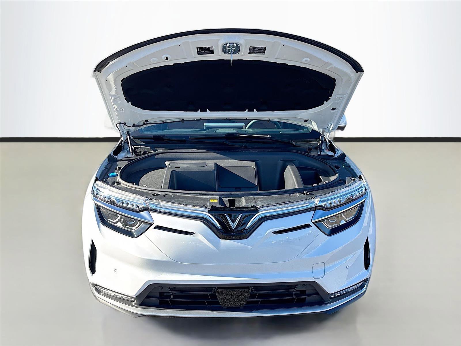 New 2025 VinFast VF 8 Plus image 32