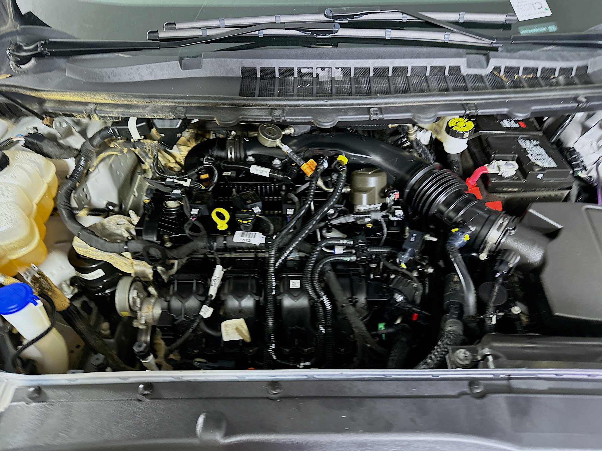 Used 2024 Ford Edge SEL image 32