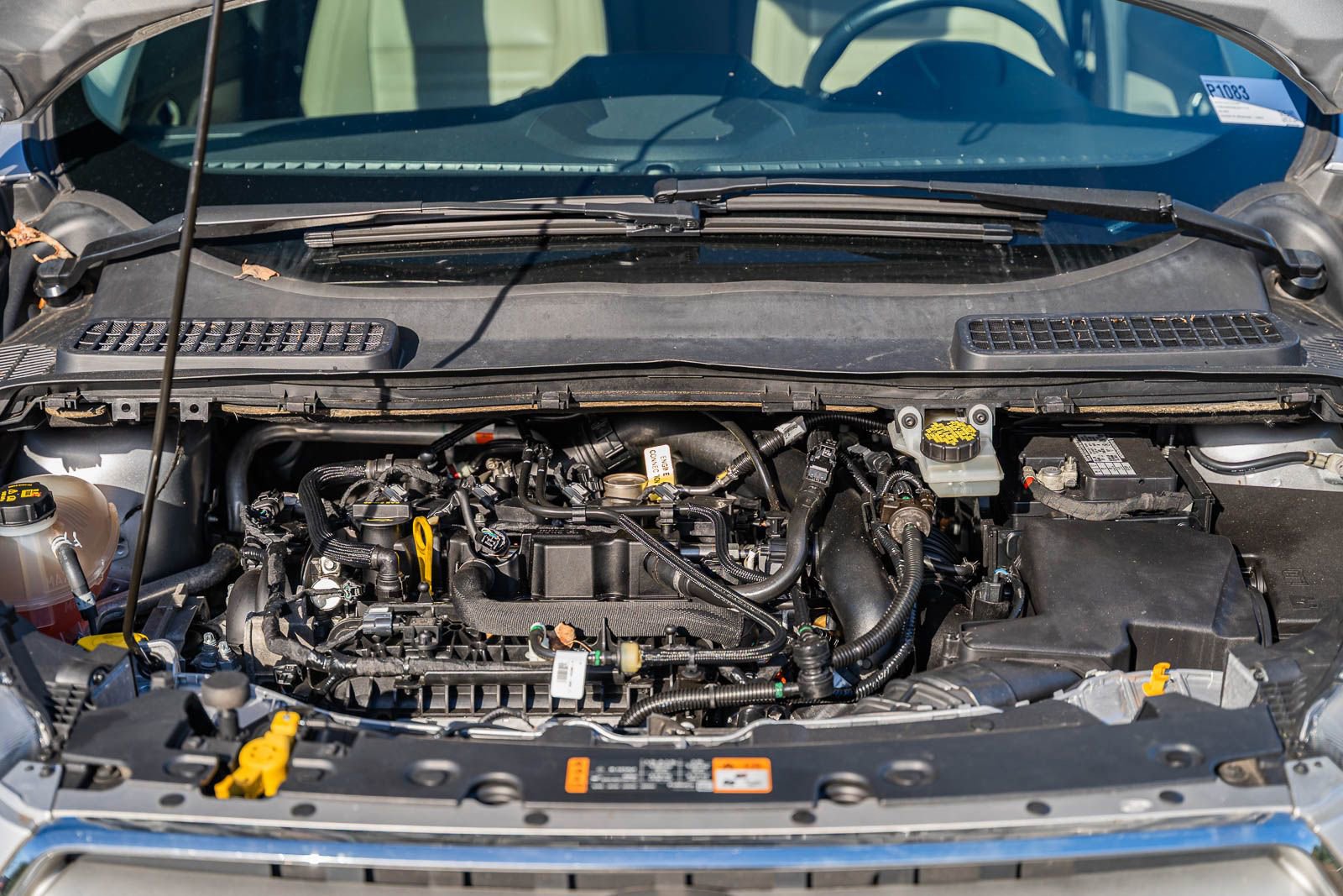 Used 2019 Ford Escape SEL image 20