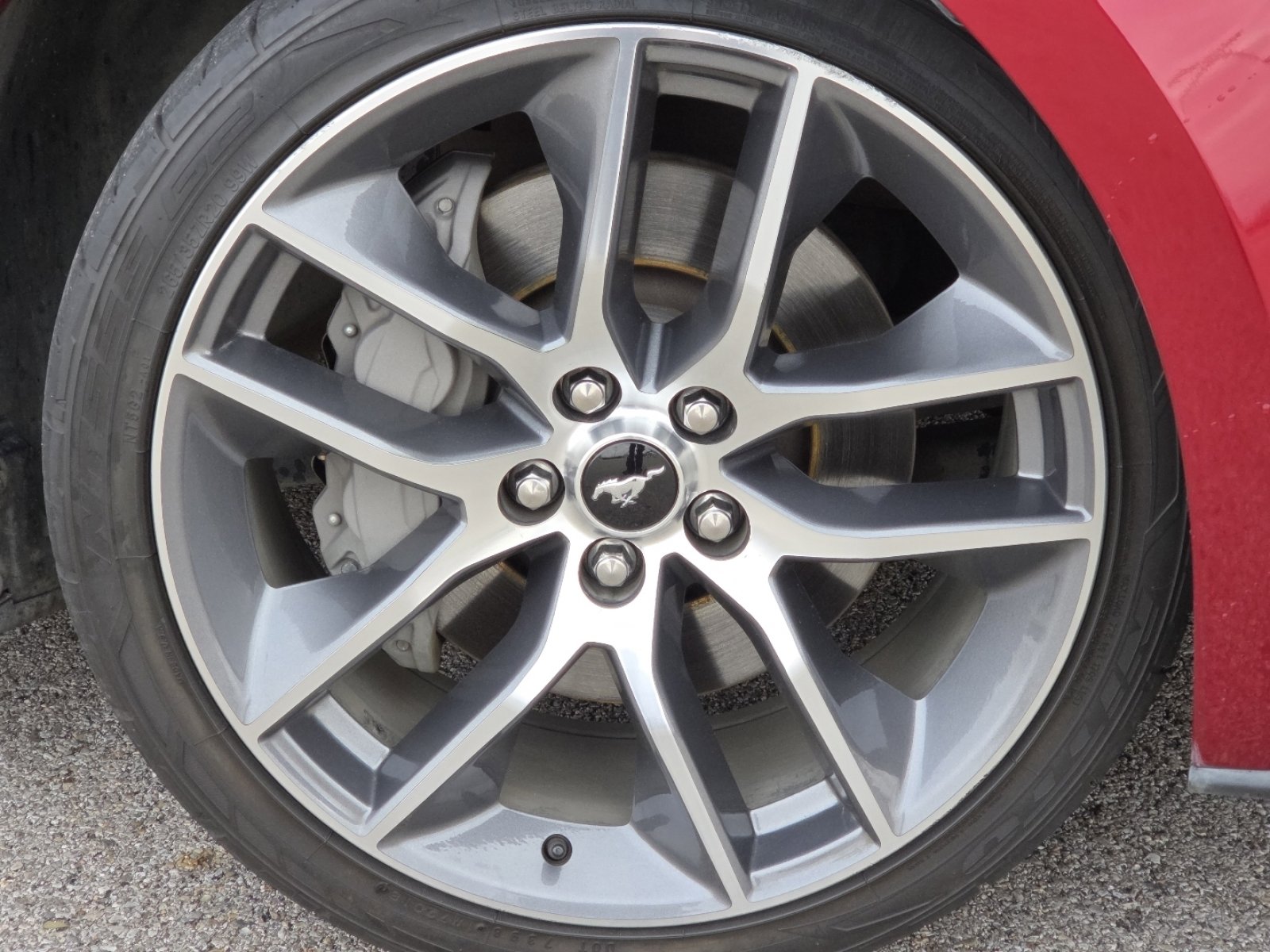 Used 2016 Ford Mustang GT Premium w/ Equipment Group 401A image 10