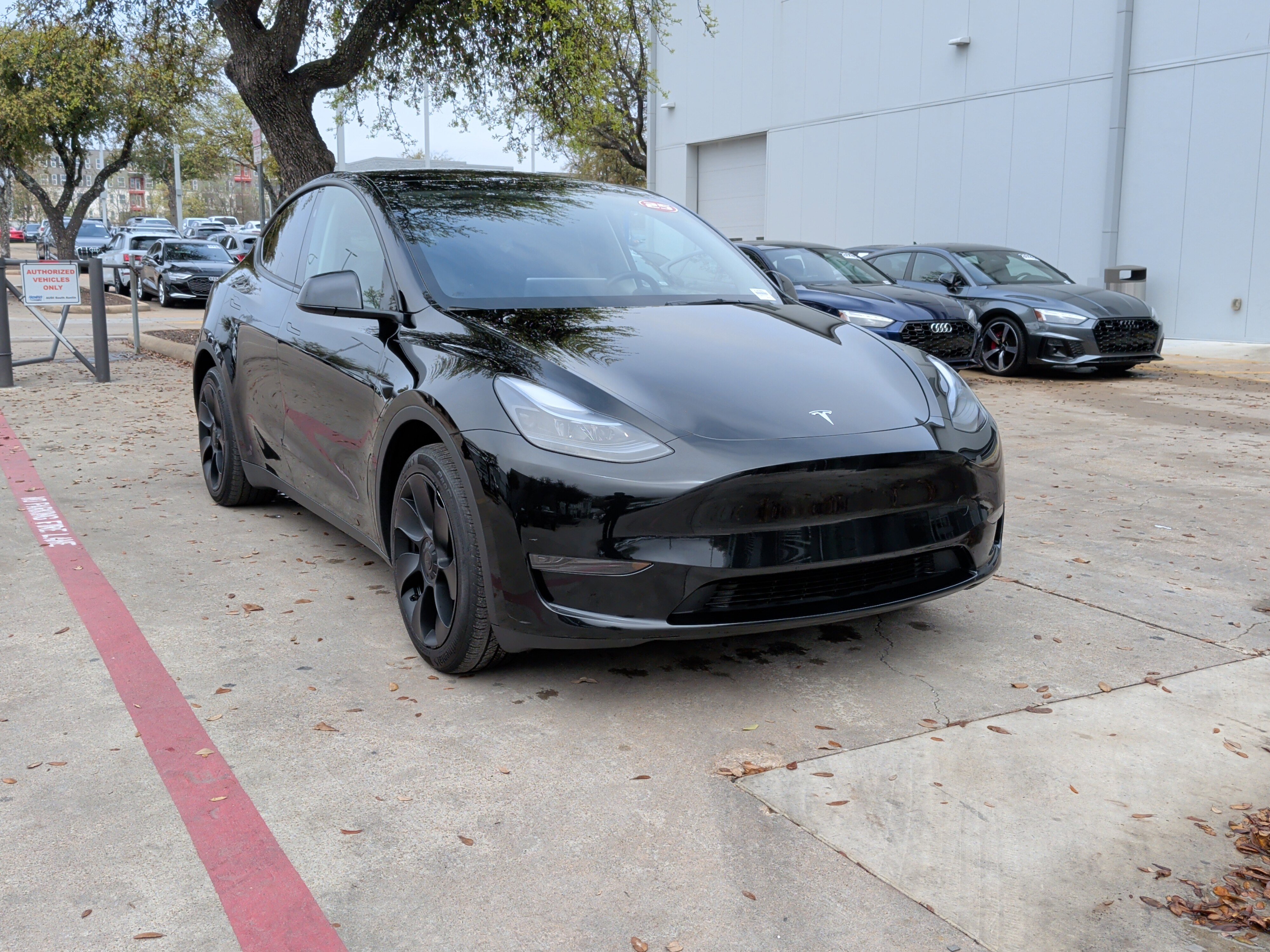 Used 2025 Tesla Model Y Long Range image 2