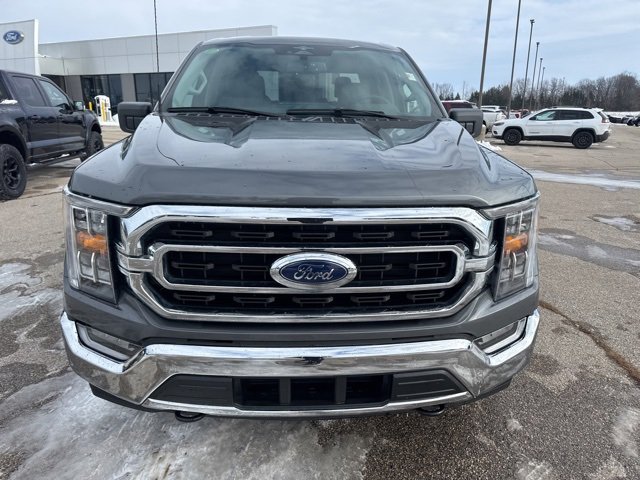 Used 2023 Ford F150 XLT w/ Equipment Group 302A High image 2