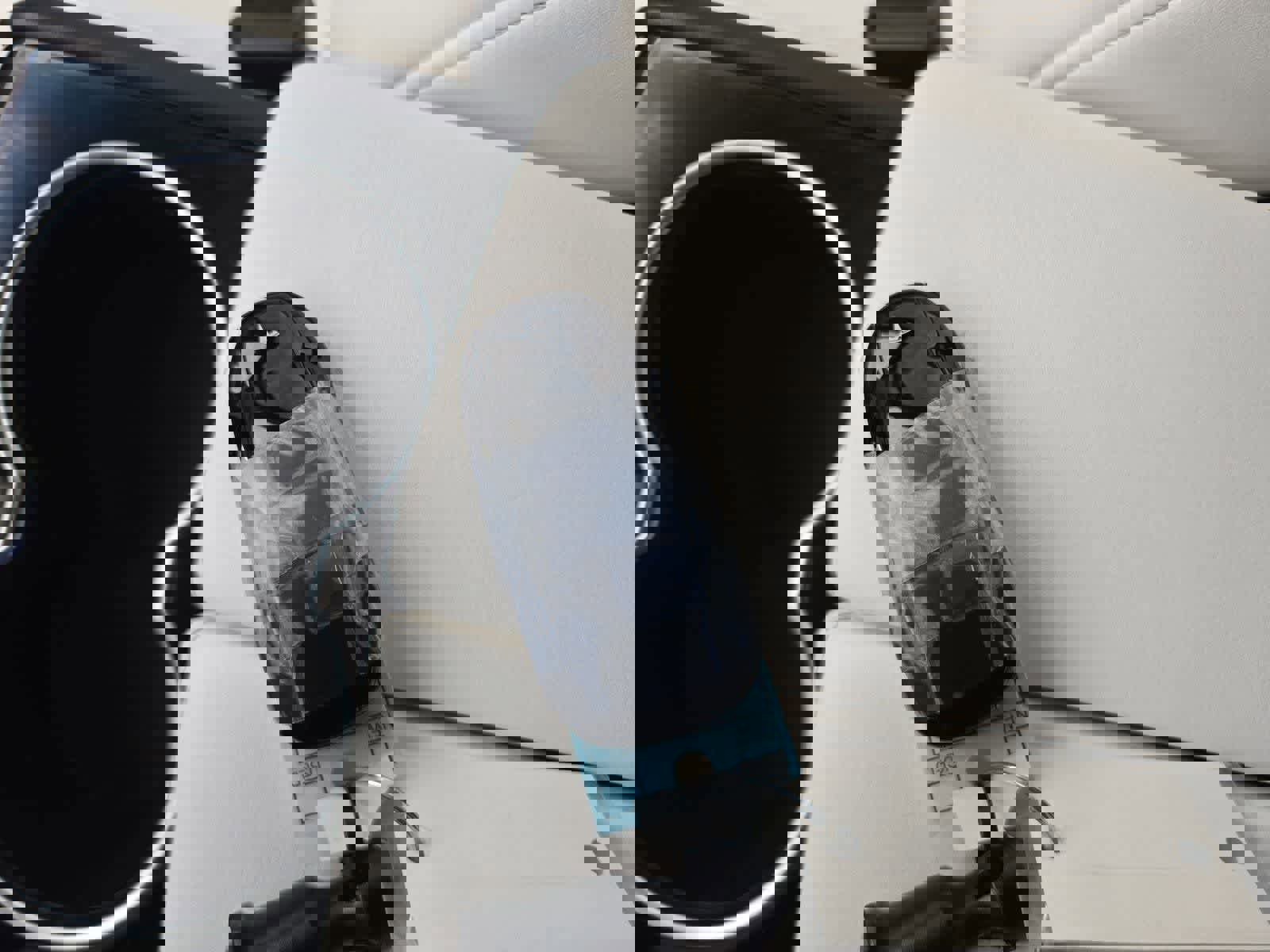 Used 2018 Tesla Model X 100D AWD/4WD image 30