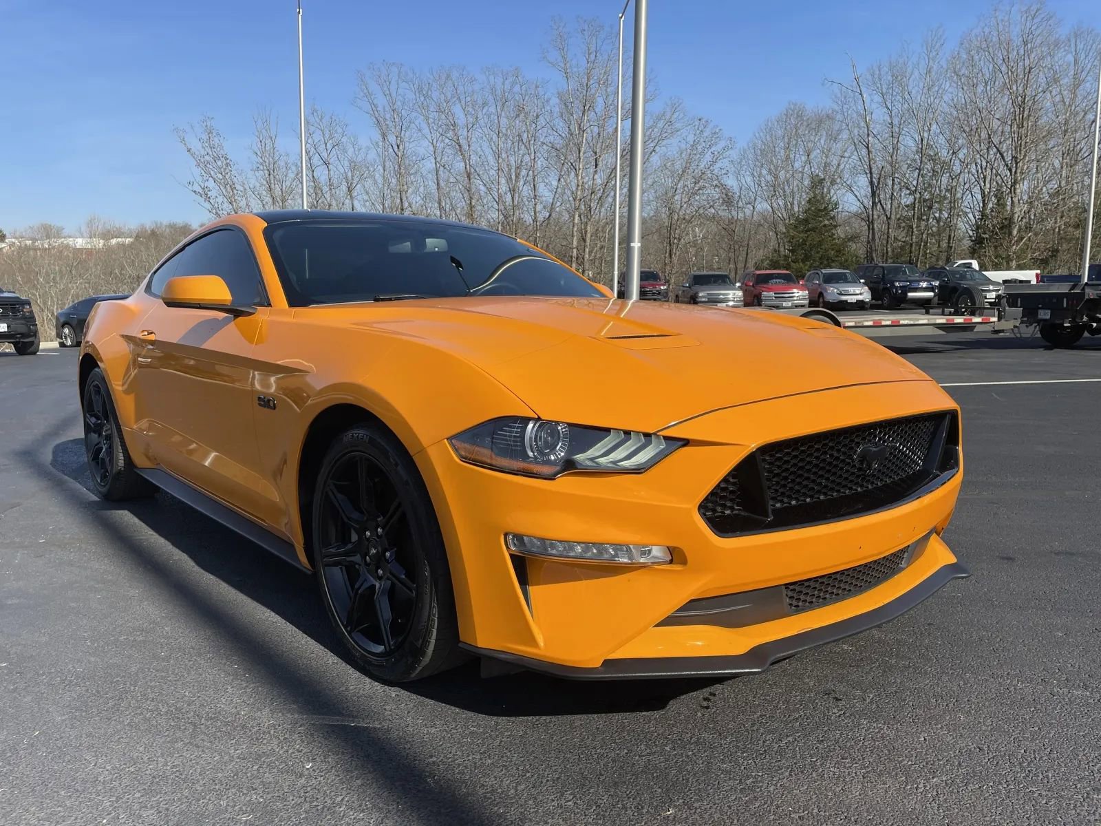 Used 2019 Ford Mustang GT w/ Equipment Group 301A image 6