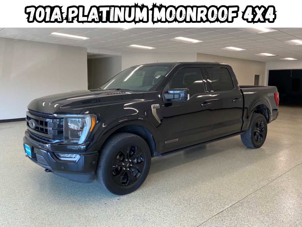 Used 2022 Ford F150 Platinum