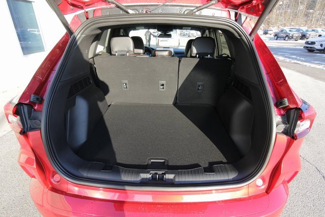 New 2025 Ford Escape ST-Line Elite w/ Premium Technology Package image 14