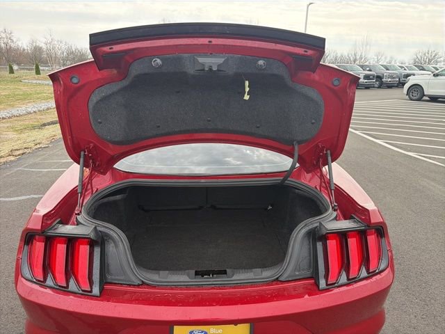 Used 2021 Ford Mustang EcoBoost w/ Equipment Group 101A image 8