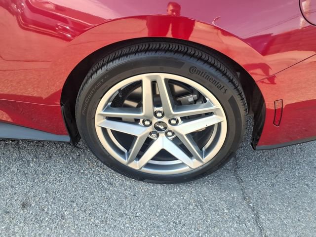 Certified 2024 Ford Mustang GT Premium RWD image 12