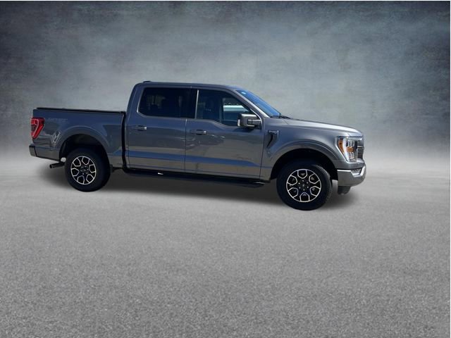 Used 2023 Ford F150 XLT w/ Equipment Group 302A High AWD/4WD image 2