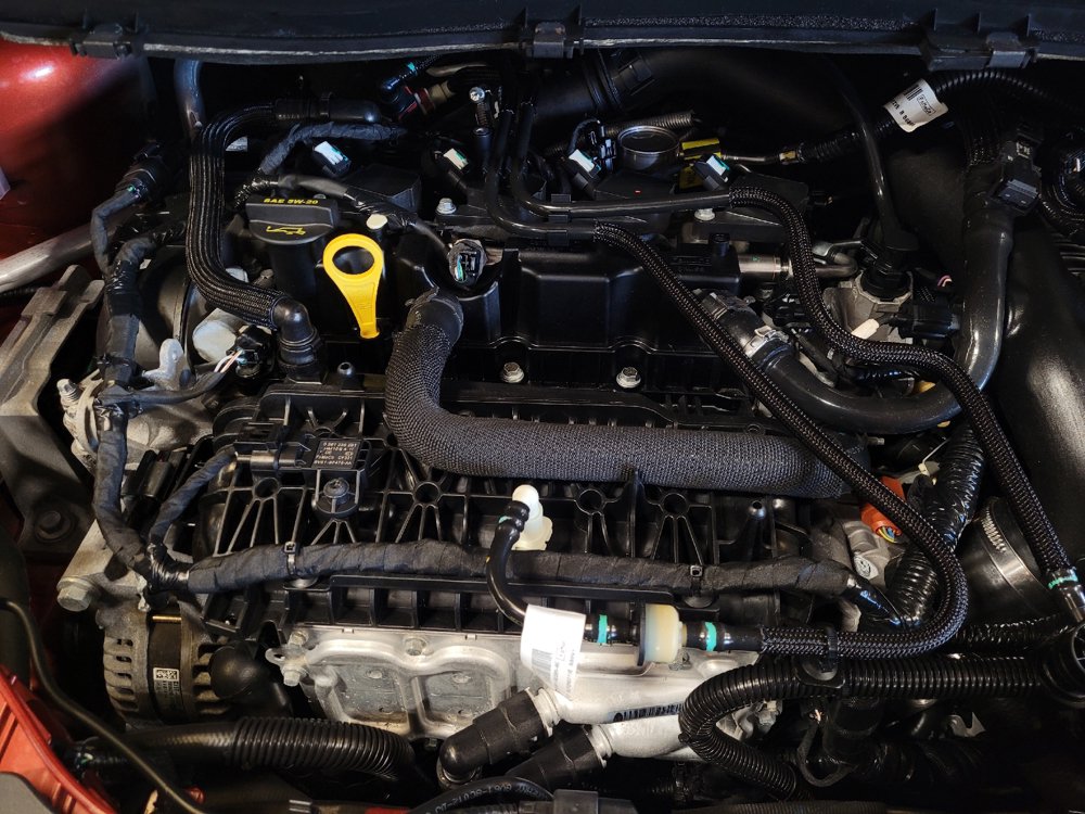 Used 2019 Ford Escape SEL FWD image 30