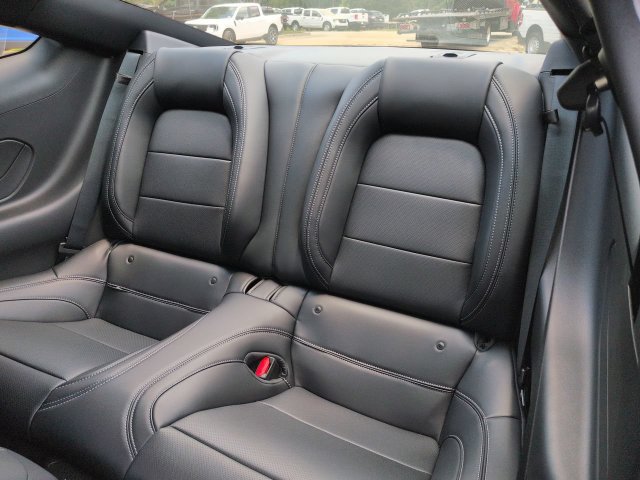 New 2026 Ford Mustang GT Premium w/ Mustang Nite Pony Package RWD image 14