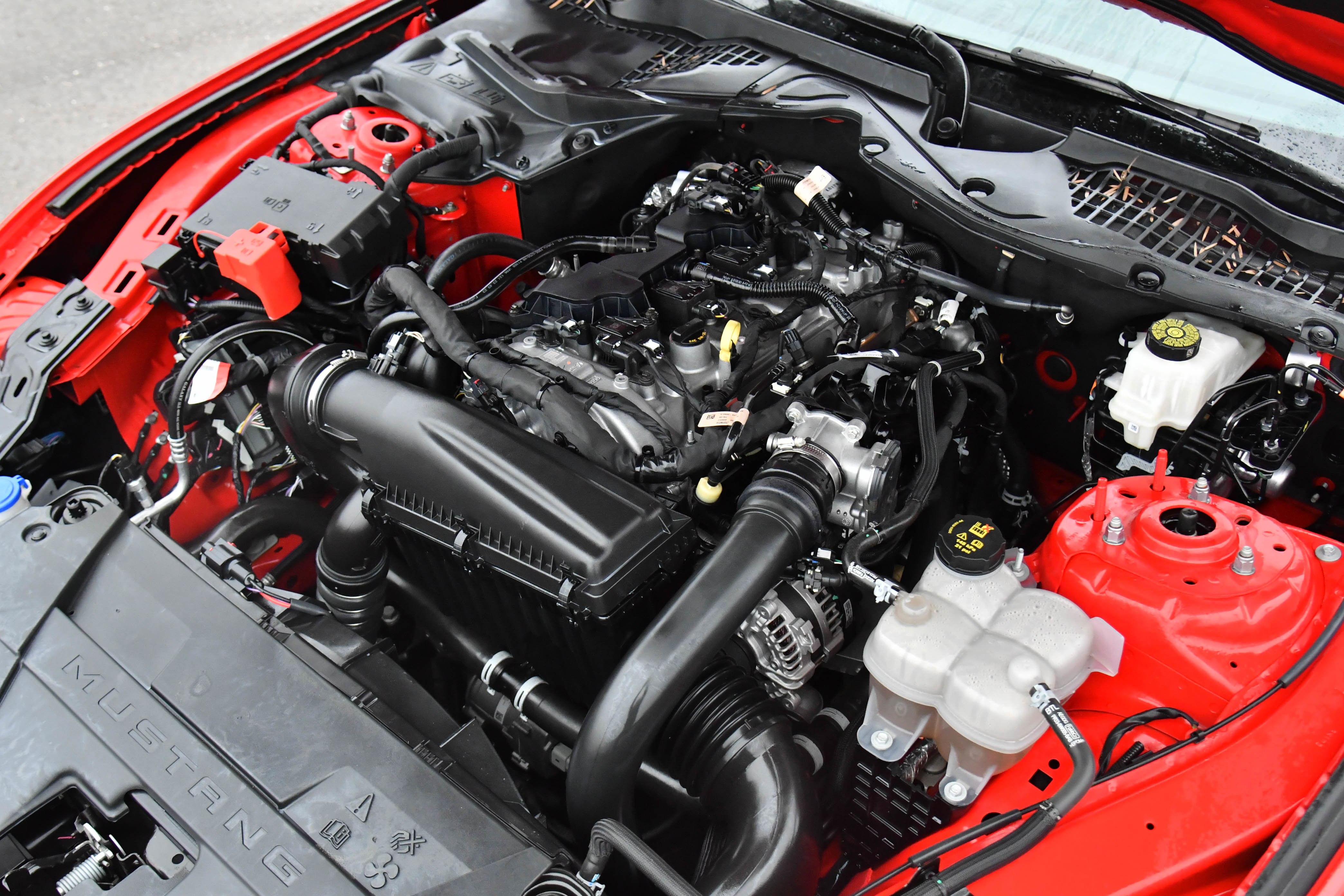 Used 2024 Ford Mustang Premium image 40