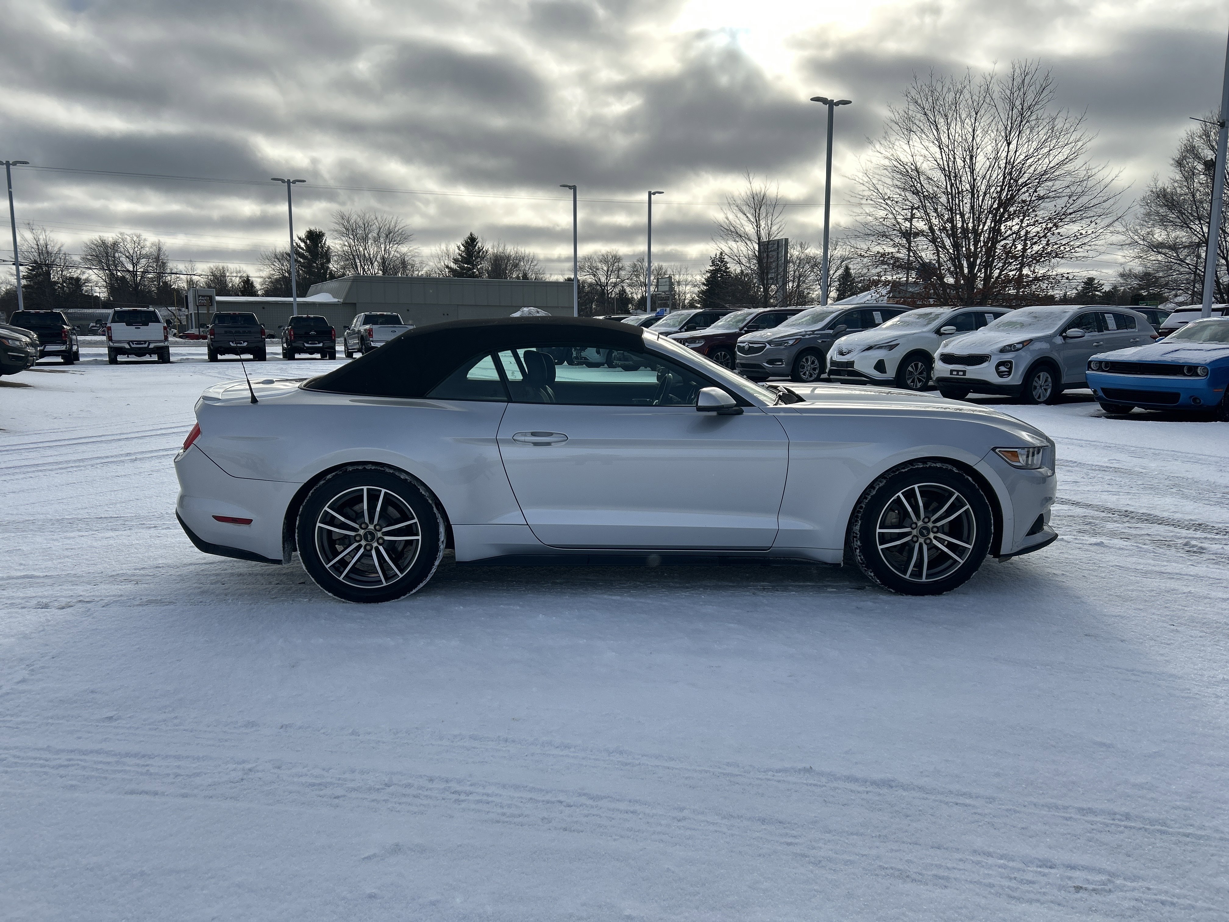 Used 2017 Ford Mustang Premium image 2