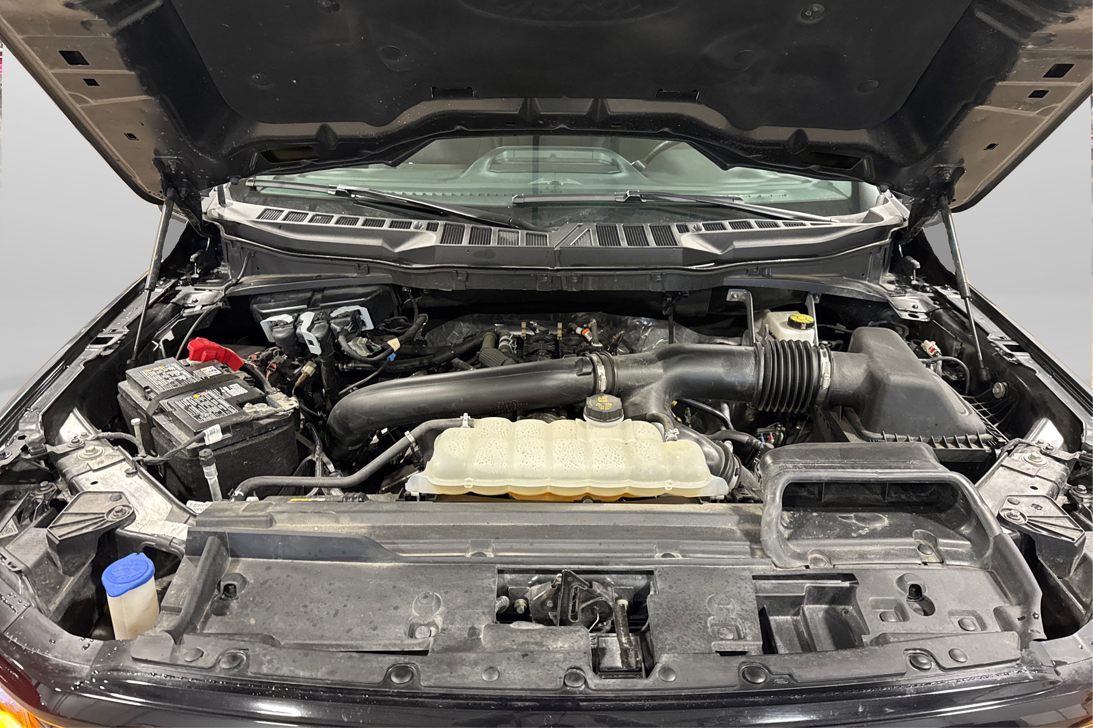 Used 2025 Ford F150 XLT w/ Equipment Group 301A Standard image 12