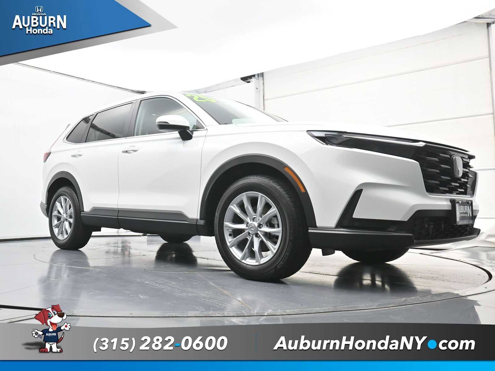 Used 2025 Honda CR-V EX-L image 12