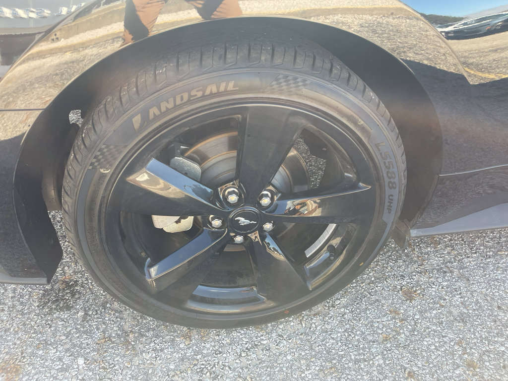 Used 2022 Ford Mustang EcoBoost w/ Equipment Group 101A image 31