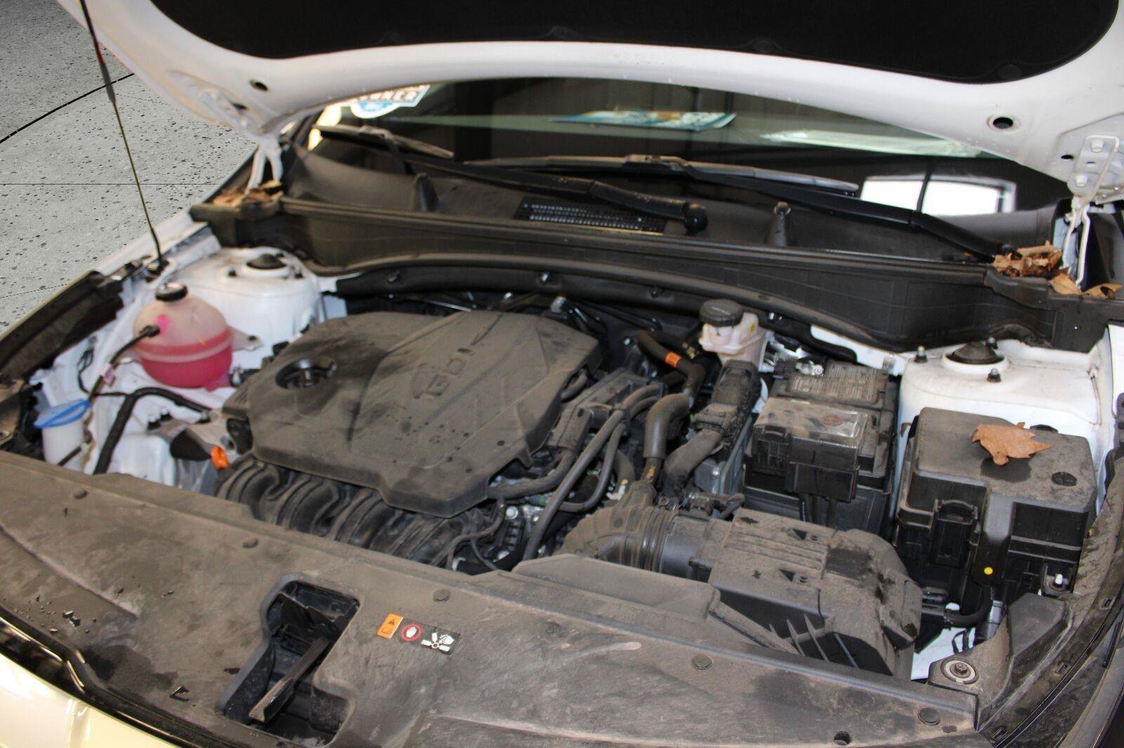 Used 2024 Kia Sportage EX AWD/4WD image 53