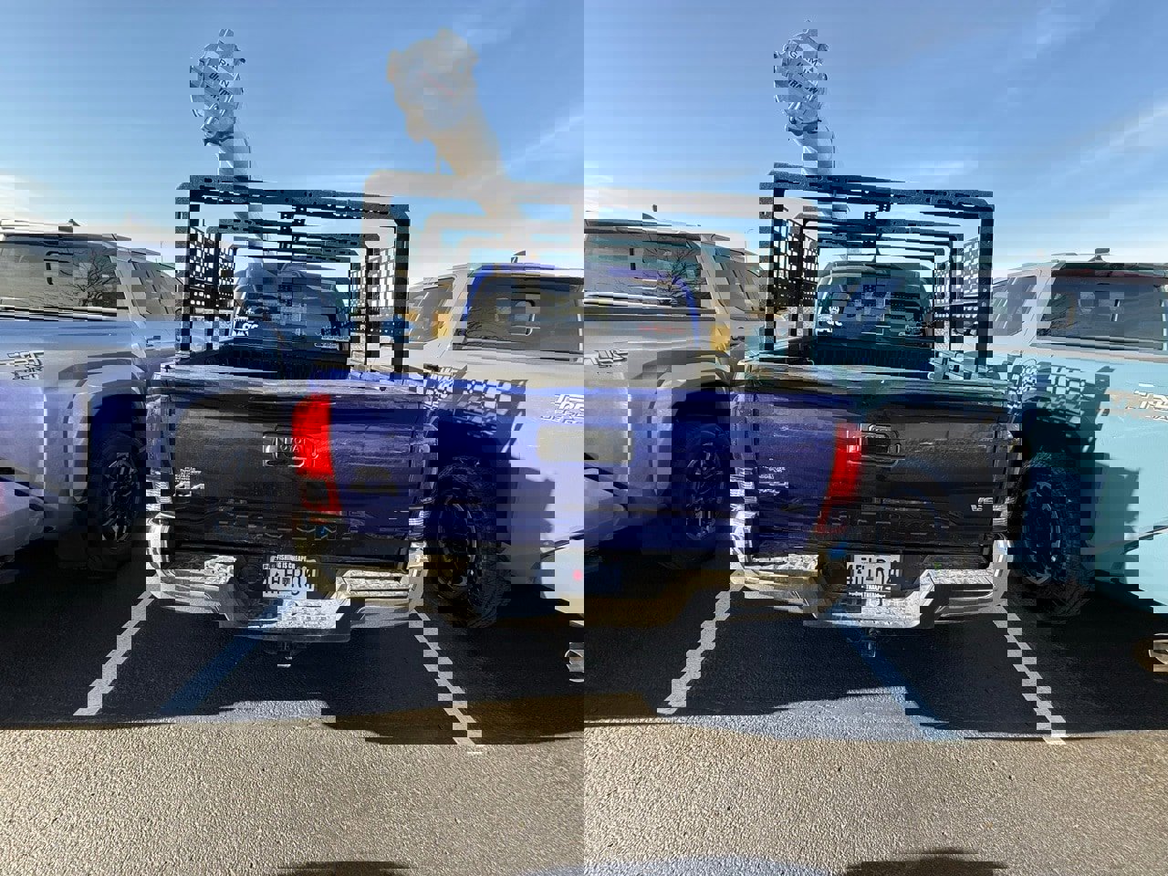 Used 2023 Toyota Tacoma SR5 image 6