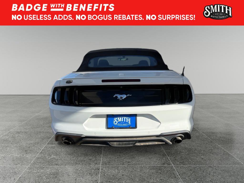 Used 2019 Ford Mustang Premium image 7