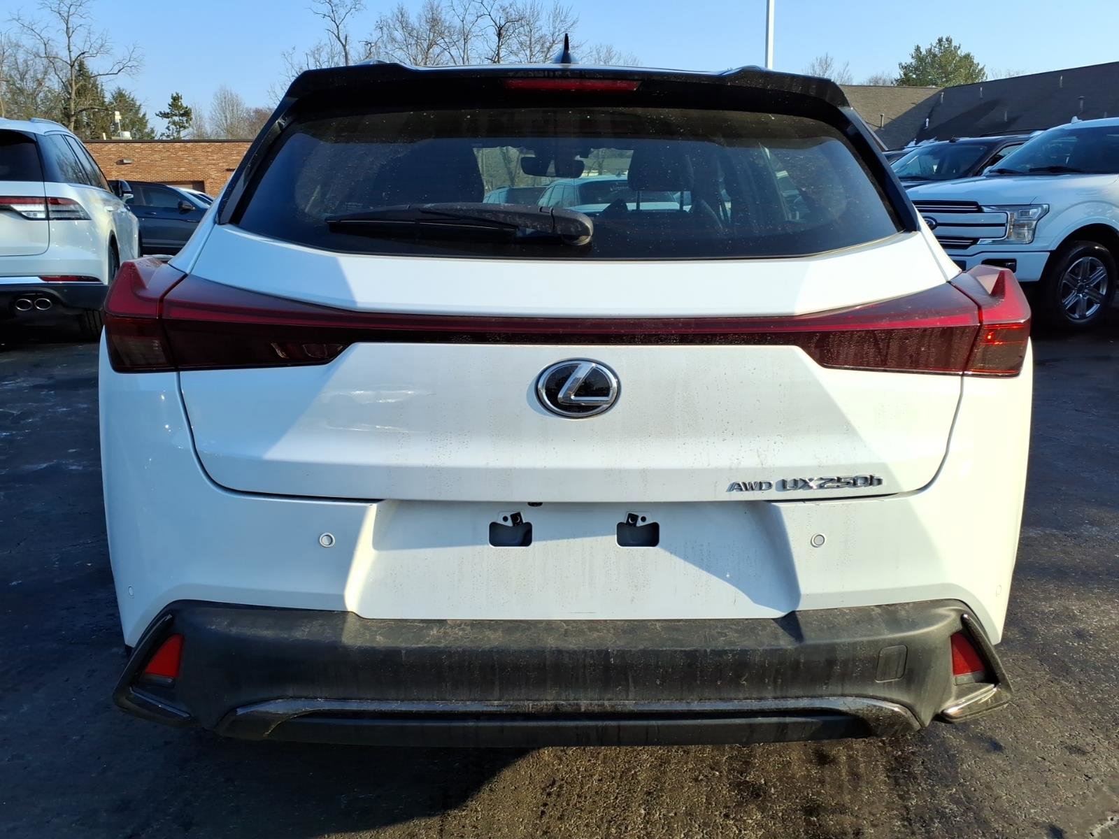 Used 2023 Lexus UX 250h F Sport image 6