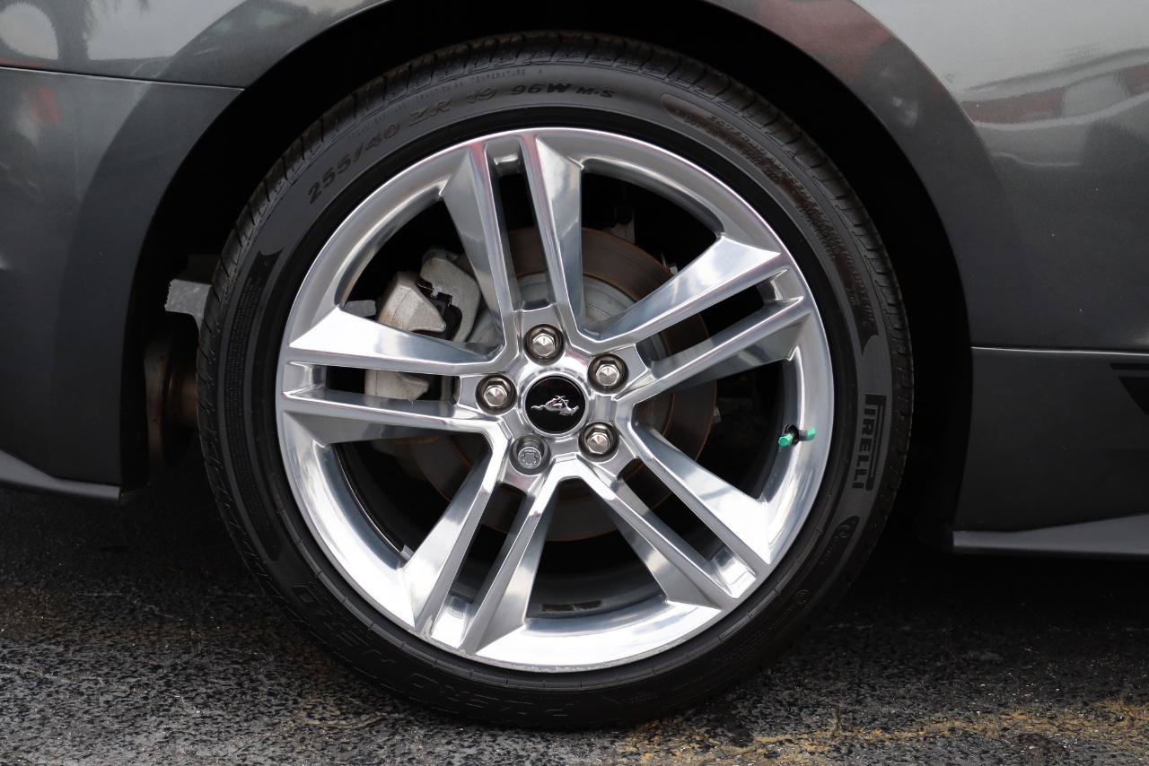 Used 2019 Ford Mustang Premium w/ Equipment Group 201A RWD image 6