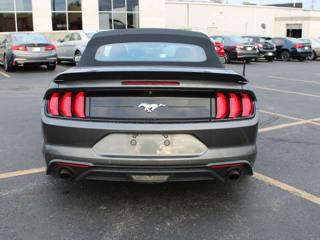 Used 2019 Ford Mustang Premium RWD image 6